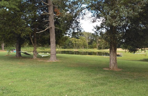 West Frankfort RV Rental | Primitive campsites, pond, wildlife, campfires