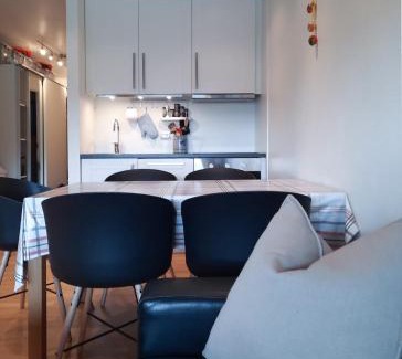 Sirdal Apartment | Private Apartment close to Sirdal Hotel
