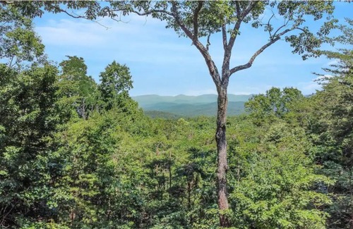 Owl Town Retreat Cabin | Private Cabin, Mtn view, hot tub, game room, fire pit