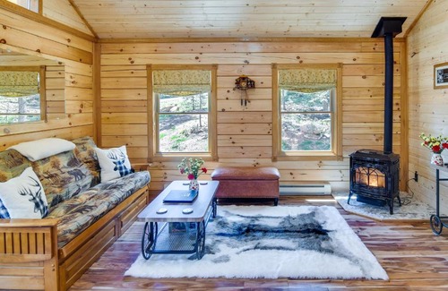Green Valley House | Private Hot Tub and Pond Conifer Log Cabin