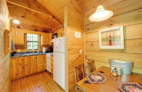 Vein Mountain Cabin | Private Hot Tub & Deck! Secluded Marion Cabin