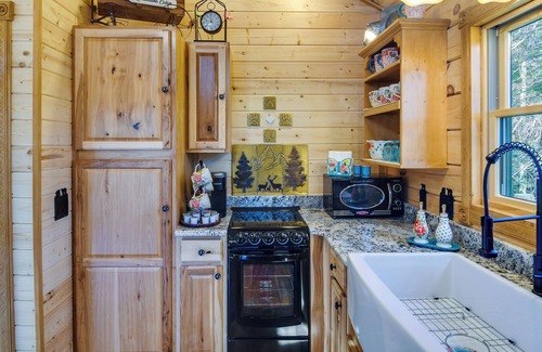 Green Valley Cabin | Private Hot Tub & Pond: Conifer Log Cabin
