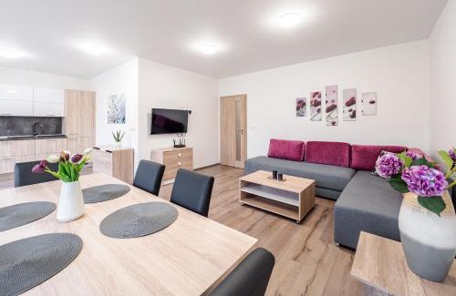 Frymburk Apartment | Private Luxury Apartments