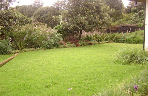 Kilimani Resort | Private room ∙ 1 guest