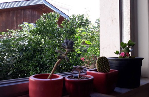 Rasht Resort | Private room ∙ 2 guests