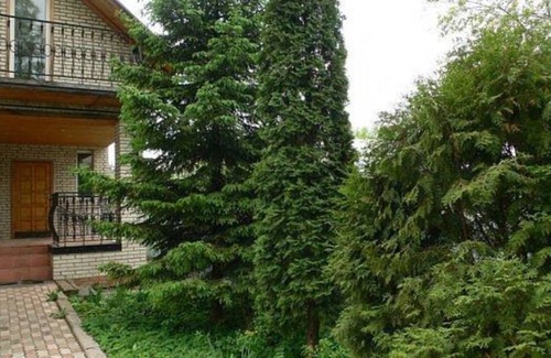 Odintsovo Resort | Private room ∙ 2 guests