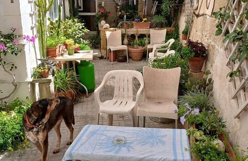 Msida Resort | Private room ∙ 2 guests