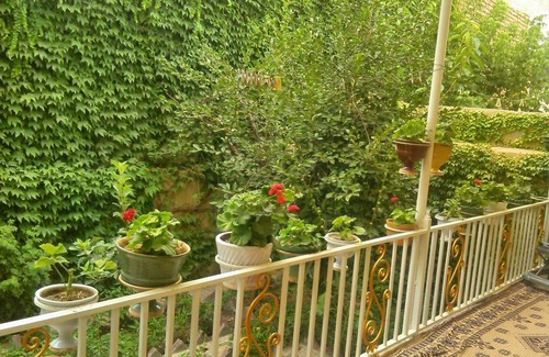 Hamedan Province Resort | Private room ∙ 3 guests