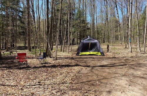 Benzonia RV Rental | Private Wooded Campsite for Tents or Small RV's #4