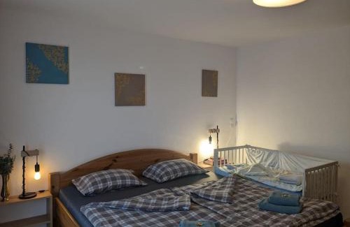 Golling an der Salzach Apartment | Privatzimmer und Küche mit Balkon und Ausblick