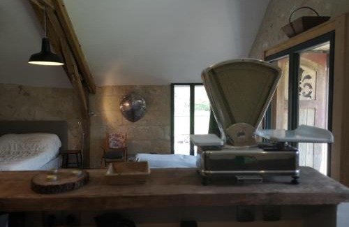 Aiguevive House | Proche Beauval appartement 60m2 avec mezzanine et petite terrasse