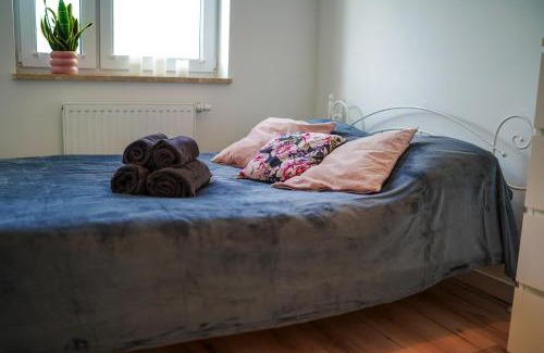 Torun Apartment | Prywatny Parking Sosnowy by Rentoom
