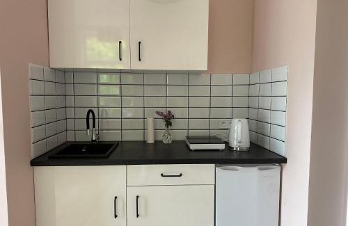 Naleczow Apartment | Przy Ochronce Żeromskiego