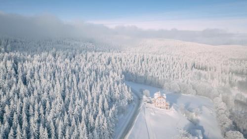 Zieleniec Bed & Breakfast | Przystanek Alaska