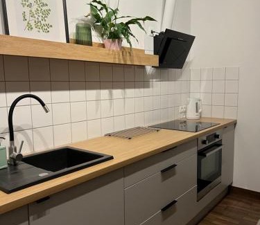 Wielen Apartment | Przytulny Apartament Mickiewicza 14/2