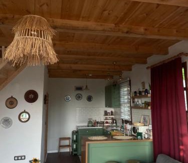 Cayeli Ski Chalet | Pukina Tiny House