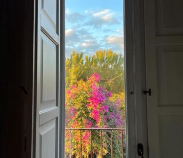 Carruba Hotel | Puleera Boutique Hotel