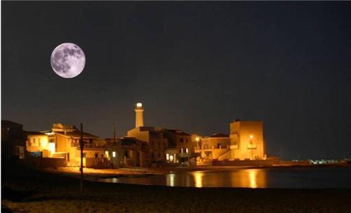 Punta Secca House | Punta Secca - DEGNO -