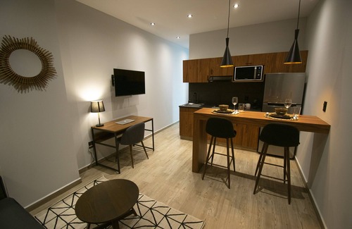 Coyoacan Apartment | Punto Lofts Periférico Sur