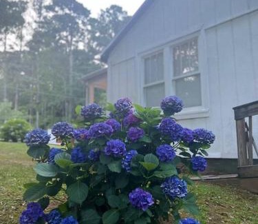Bremen House | Quaint City Cottage Bremen, Ga