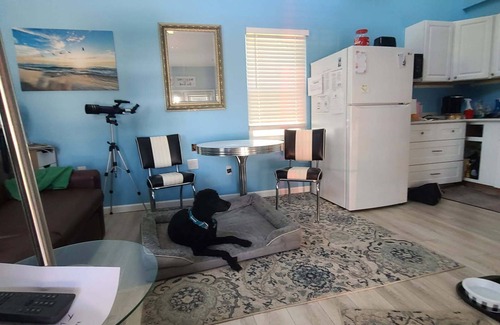 Rehoboth Beach Cottage | Quaint cottage in charming Rehoboth Beach with WiFi, AC
