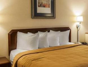 Goshen Hotel | Quality Inn & Suites Goshen