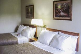 Warren Hotel | Quality Inn & Suites Warren