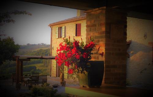 Cupramontana Bed & Breakfast | Quelli del Picchio
