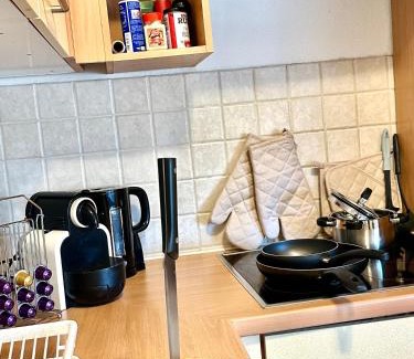 Schwechat Apartment | Quiet Apartment near Airport Vienna #2