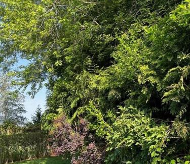 Bridgehampton House | Quiet Luxury in the Heart of the Hamptons