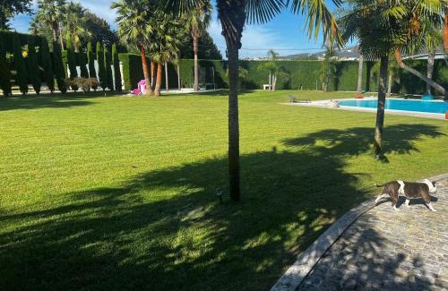 Valpedre Villa | Quinta Das Palmeiras