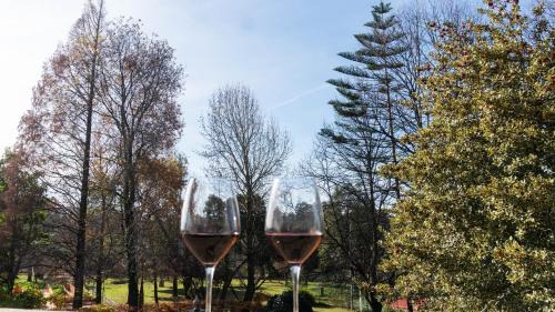 Escapaes Cabin | Quinta do Candeeira