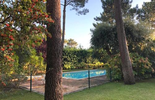Quinta Do Conde Villa | Quinta do Peru Golf Retreat - NEW