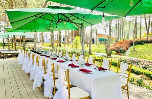 Phuong Resort | Rừng Lá Kim Resort
