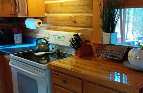 Birdseye Cabin | R&R cabin, bullfrog hot tub w/ gazebo wifi, Patoka Pass, minutes to park entranc