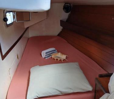 Uturoa Boat Rental | Raiatea Marine express cabin