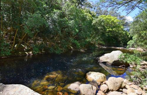 Upper Kangaroo River House | Rainforest River Retreat Kangaroo Valley