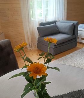 Suuresadama Apartment | Rangi Suvemaja