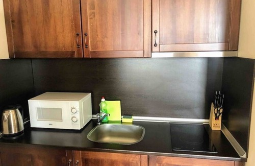 Shiligarnika Condo | Razlog Bansko Bulgaria - Cornellia 1-bedroom suite condo with Mountain View