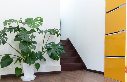 Higashiyodogawa House | Recommended for those interested in "convenient transport", "culture" and "shopping".