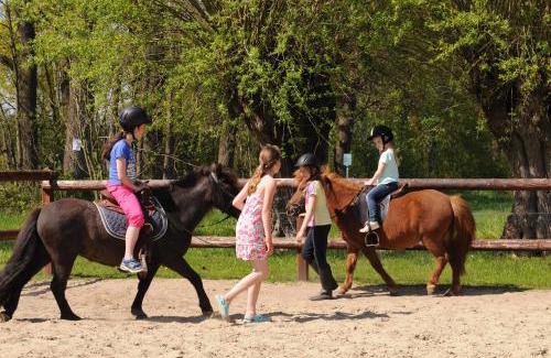 Ruurlo Other | Recreatiepark de Meibeek