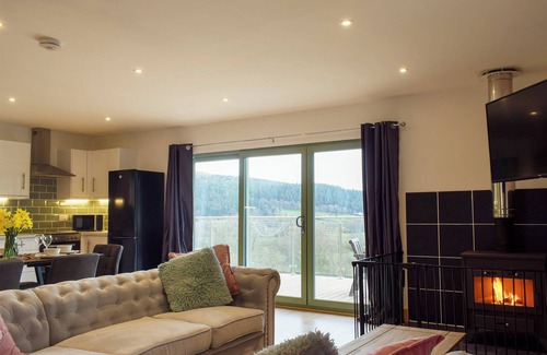 Kington Cottage | Red Kite Lodge - UK32610