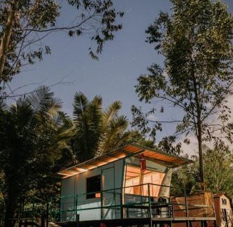 Salento Other | Redwood Salento