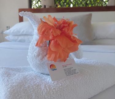 Mahe Island Bed & Breakfast | Reef Hills Residence
