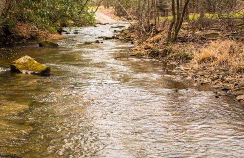Cherry Log House | Reel Medicine Cabin with Creekside Views in Blue Ridge, GA