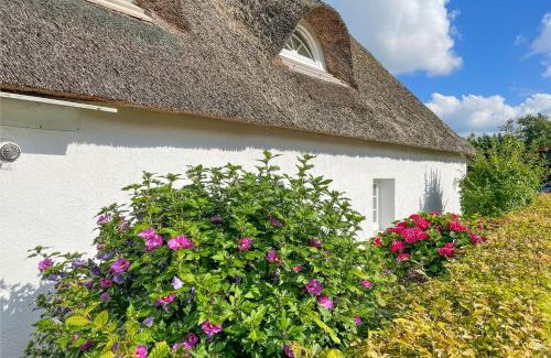 Lehe House | Reethus Rosengarten