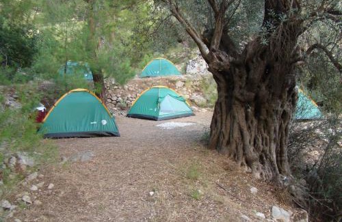 Kabak Valley Other | Reflections Camp