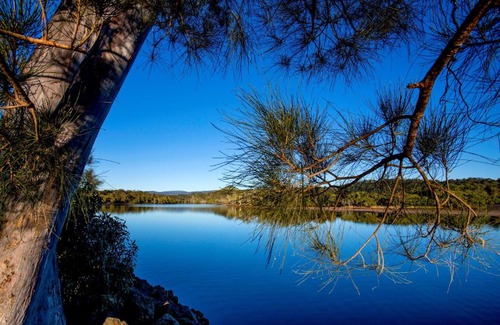 Brunswick Heads Resort | Reflections Ferry Reserve - Holiday Park