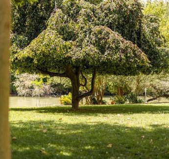 Halaszi Bed & Breakfast | Regia Panzió