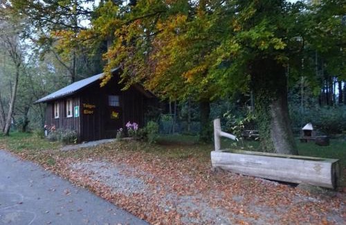 Hauptwil-Gottshaus Apartment | Rehalp Westen